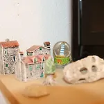 City Coast Apartament
